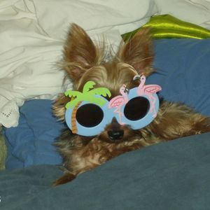 Meet your Posher, Patricia